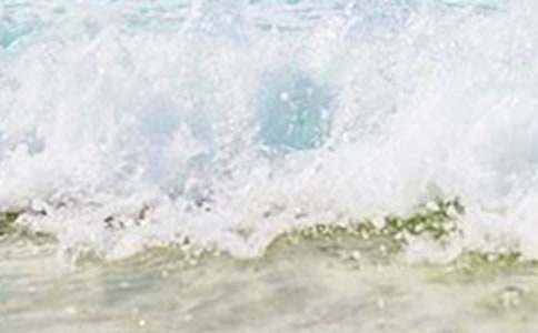 ��д�������������15ƪ