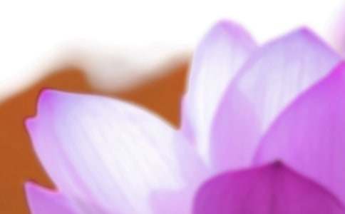 ������������˵˵