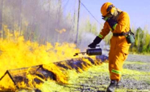 �����Բ鱨��