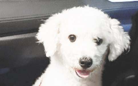 �Һ�С��Сѧ����(���14ƪ)