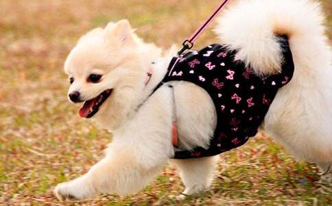 С����������(ͨ��15ƪ)