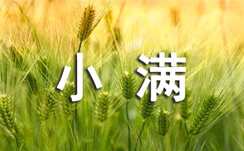 关于小满的优美句子范例15篇