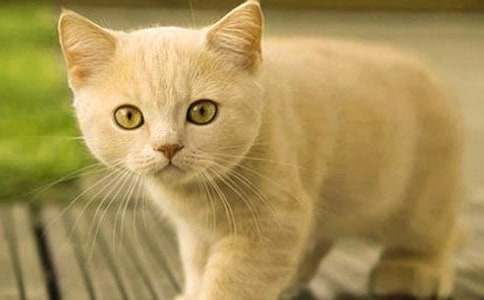 СèСѧ����300�ֺϼ�10ƪ