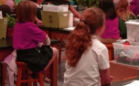 Сѧ����ӥ׽С������300�ֺϼ�7ƪ