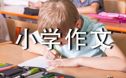 可爱的小鸭子小学作文集合15篇