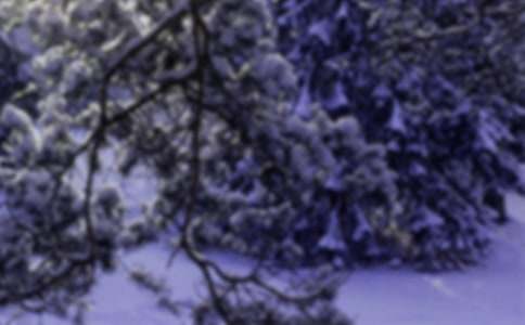 ����Сѩ�ļ���ʺ���