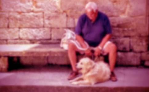 үүд������