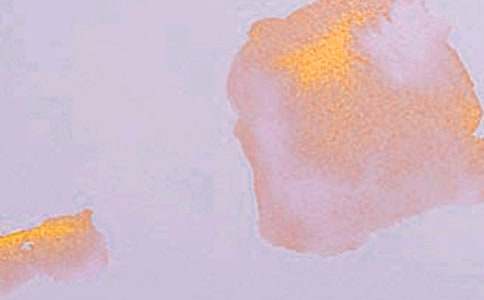 ������������������ѧ��