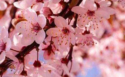 ��ӣ����˵˵