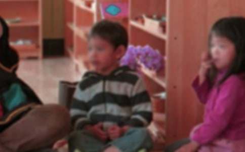 �׶�԰��ĸ����