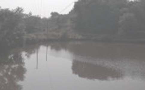 �����а���ͬ����(15ƪ)