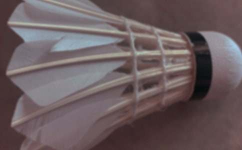 ��ë���������