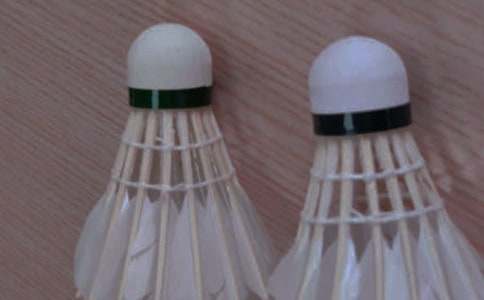 羽毛球比赛方案通用15篇