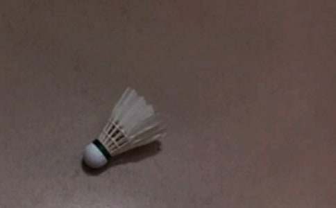 ��ë���������(��ѡ15ƪ)