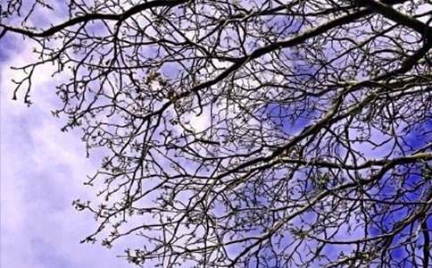 【热门】新版早安问候语语录摘录49条