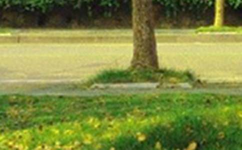 【实用】温暖的早安问候语语录25句