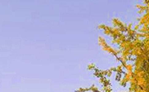 有关每日一签早安朋友圈问候语摘录61句