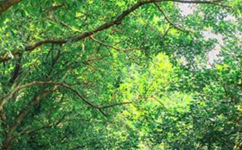 早安问候语正能量简短