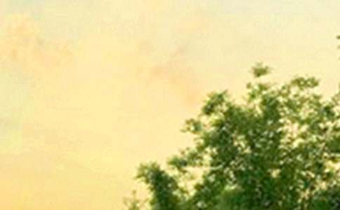 �򵥵��簲�ʺ������