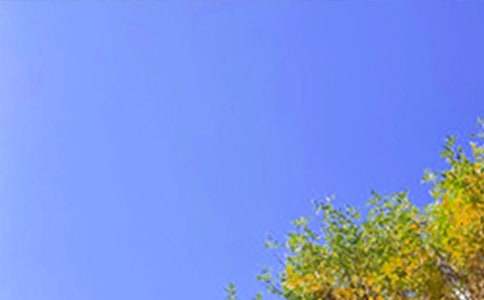 2021年通用每日一句早安问候语语录大汇总54条