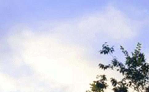 �������簲�ʺ�������