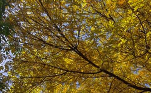 �򵥵�����ϵ�簲�ʺ��Ｏ��44��