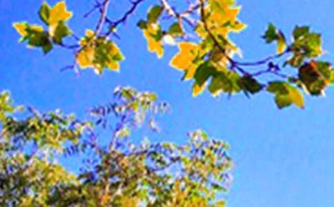 ���������簲������¼