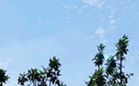 【实用】每日一句早安微信问候语46条