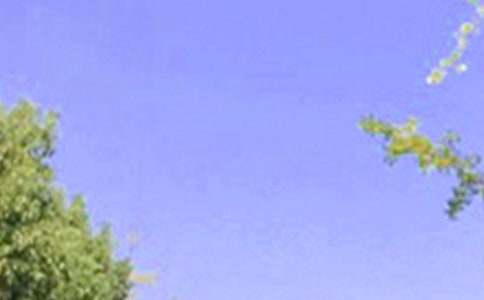 ͨ���������簲����Ȧ�ʺ���35��