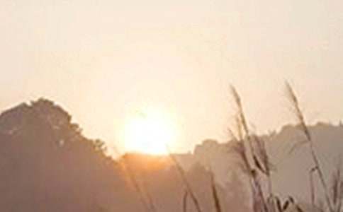 【热门】2022年治愈系早安问候语语录汇编52句