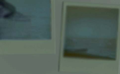 ɹ�Լ���Ƭ��˵˵