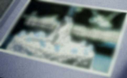 ��Ƭ��Ĺ�����������