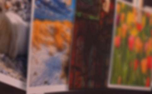 ��Ƭ�����ů���꼶����