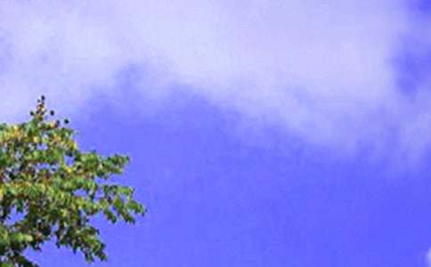 �����ʺ����緢��������˵˵