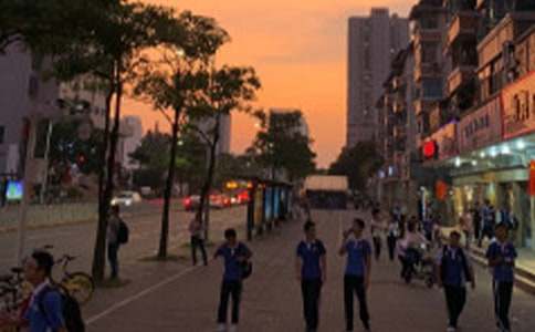 ��ѧ���鷨��������