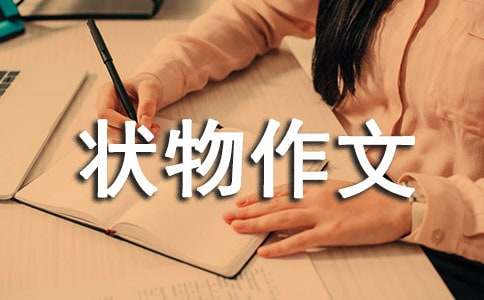 ����д����״������300�ֻ��ܾ�ƪ