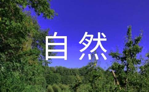 大自然的声音四年级作文
