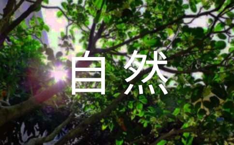 保护大自然建议书