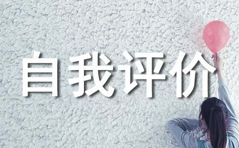 营销总监自我评价