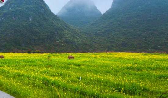 ���εĽ�����14ƪ